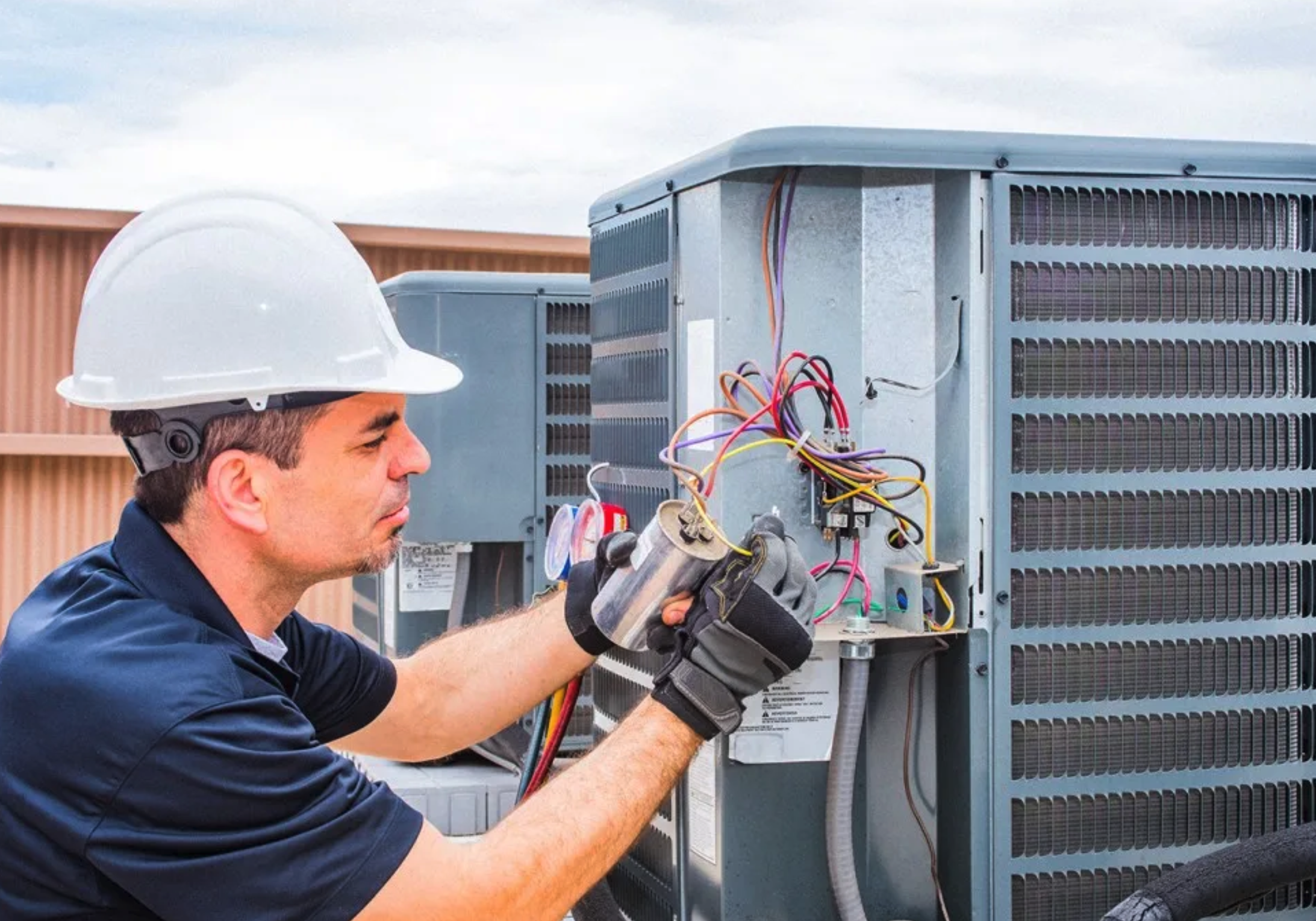 exclusive-live-phone-calls